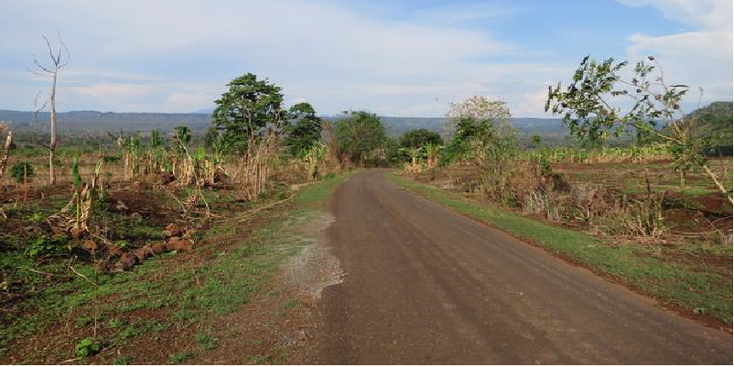 Bolaven-plateau-Laos