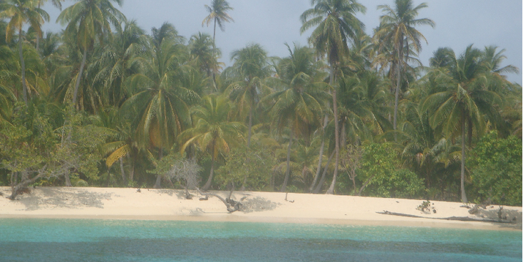 San-Blas-eilanden-Panama-palmbomen-azuurblauw-strand-zand