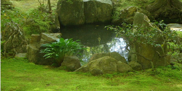 Ginrahu-Ji-tuin-groen-mos-vijver-Tokyo-Japan