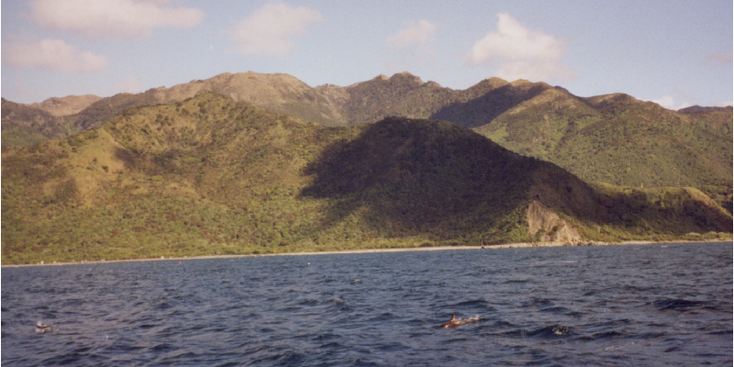 Kaikoura-tour-boot-bergen-dolfijnen-Nieuw-Zeeland