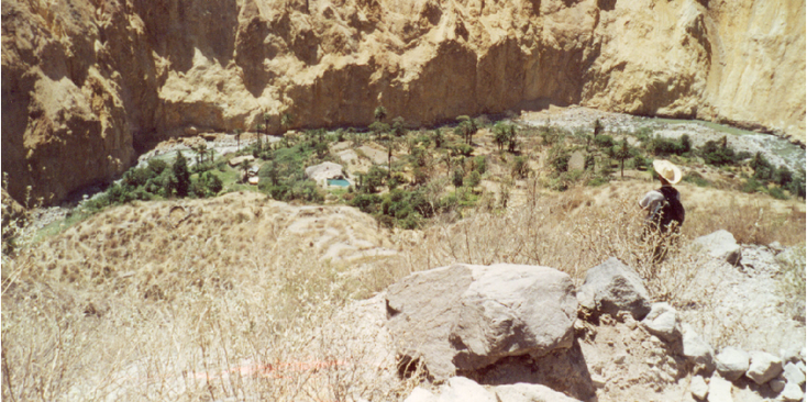 Oasis-zwembad-rieten-hutten-Colca-Canyon-Peru