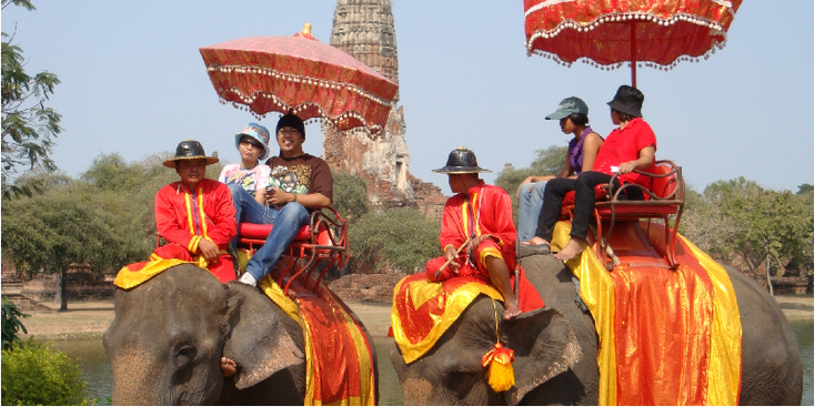 Ayuttayah-Historical-Park-Elephant-Thailand