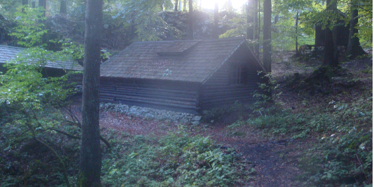Base-20-partizanen-bunker-44-Tito-barakken-bos-Slovenië-Kocevski-Rog-Nationaal-Park