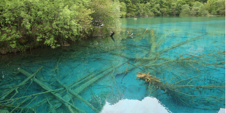 Jiuzhaigou-nationaal-park-vijf-kleuren-vijver-water-bomen-mineralen-helder-groeien-Bamboe-China