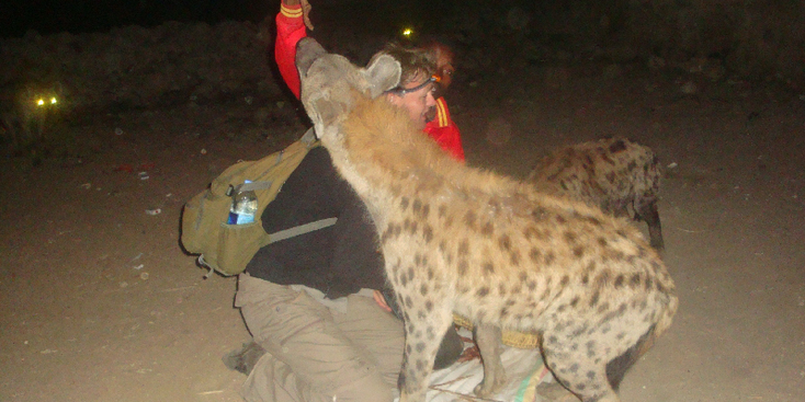 harar-hyena-voederen-roep-voeren-vlees-Ethiopië