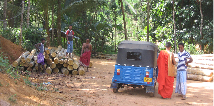 Kitulgala-tuk-tuk-rivier-jungle-Sri-Lanka