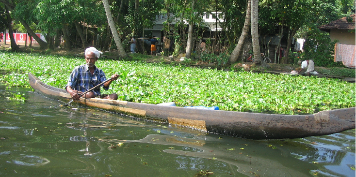 Backwaters-Kerala-Alleppey-rivierleven-India-boten-kano