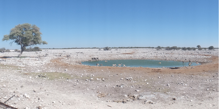 Etosha-Nationaal-Park-zoutpan-water-vijver-Namibië