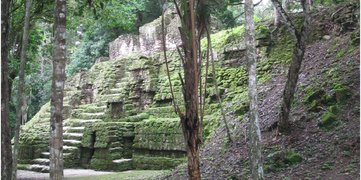 Tikal-maya-Indianen-tempel-Guatemala