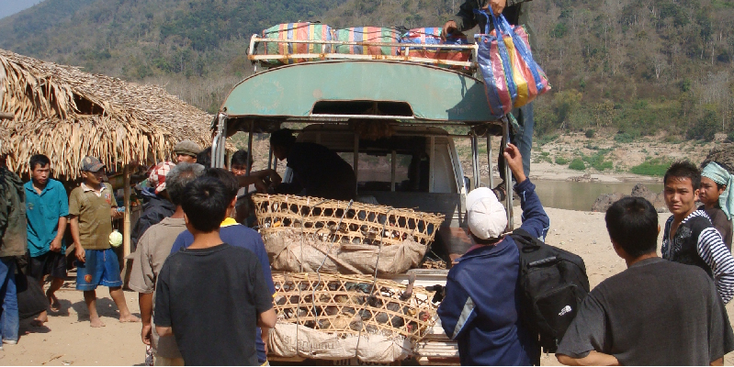 Tha-Suang-Hongsa-songthiaw-jumbo-haventje-boot-Laos