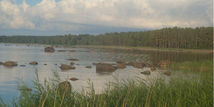 Lahemaa-nationaal-park-Altja-kust-boulders-stenen-keien-Estland