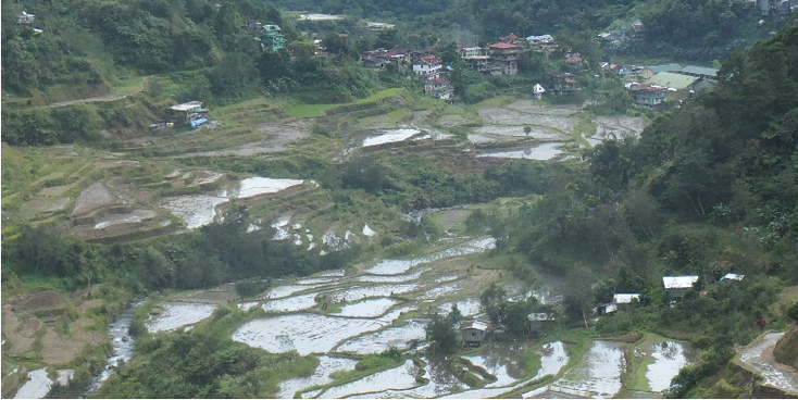 Batad-Bontoc-Banaue-Maligcong-rijstterras-rijstveld-Filipijnen