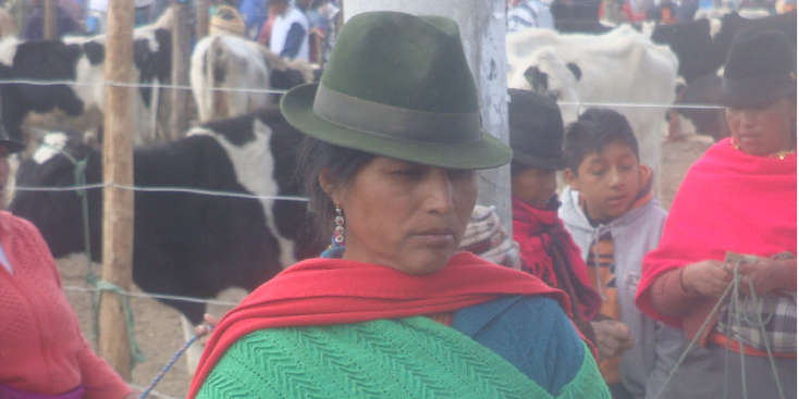 Saquisili-markt-inheems-hoed-beesten-Ecuador