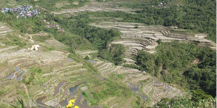 Banaue-Maligcong-Batad-Bontoc-dorp-rijstterras-rijstveld-Filipijnen
