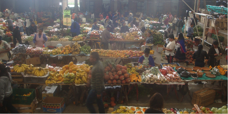 Silvia-Colombia-stam-inheems-markthal-fruit-traditioneel-kledij-bolhoed-markt-Popayan