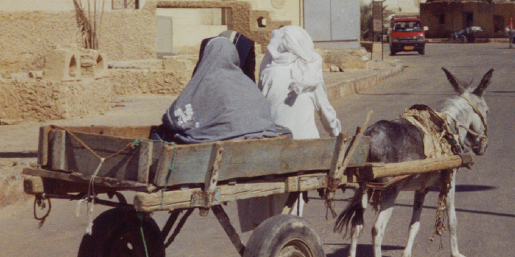 Siwa-Berbers-gesluierd-ezel-kar-Egypte-oase-lemen-stad