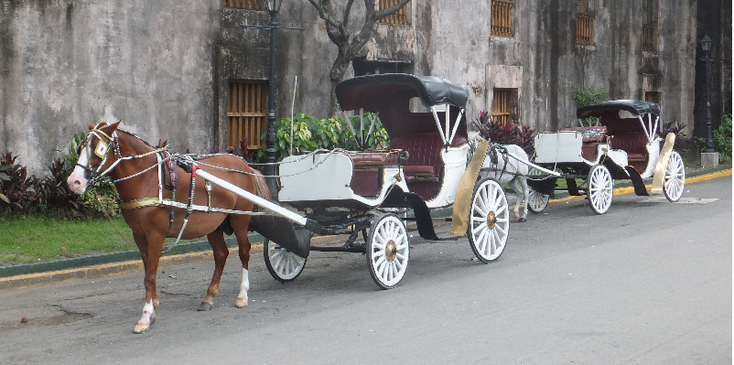 Intramuros-paard-en-wagen-koets-muur-centrum-Manila-Filipijnen