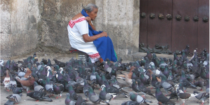 Merida-duiven-Mexico