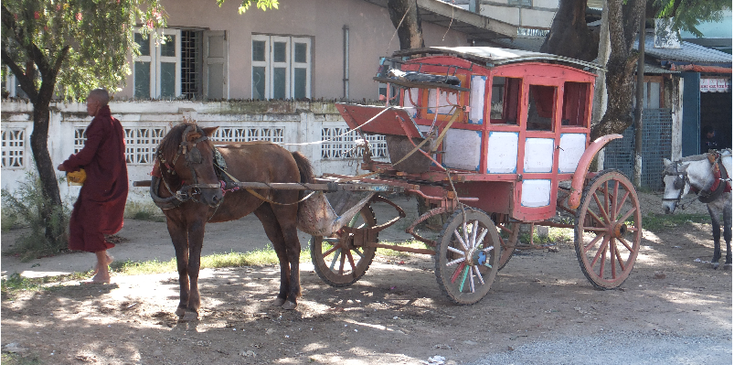 Pyin-Oo-Lwin-koets-paard-monnik-Myanmar
