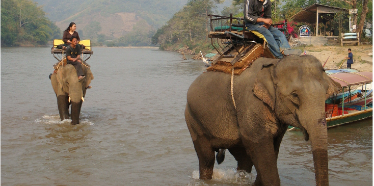 Huai-Mae-Sai-Yao-dorp-Chang-Rai-olifant-rivier-bergstam-dorp-tocht-tour-Thailand