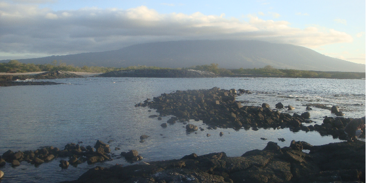 Puerto-Egas-Galapagos-vogels-leguanen-zwart-Ecuador-meer-lava