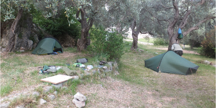Crvena-Glavica-autokamp-camping-olijven-Sveti-Stefan-Montenegro