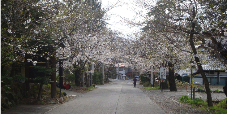 Yudanaka-Hamini-bloemen-bomen-Japan