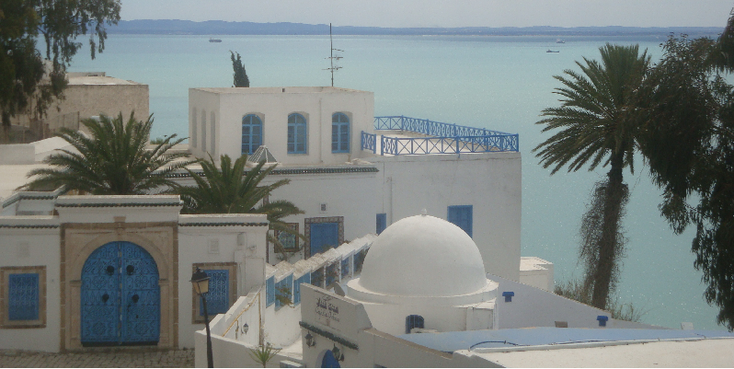 sidi-bou-said-Tunis-koepel-blauw-wit-palmboom-Middellandse-Zee-Tunesië