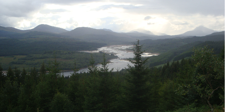Glenn-Shiel-vallei-naaldbomen-meer-Schotland