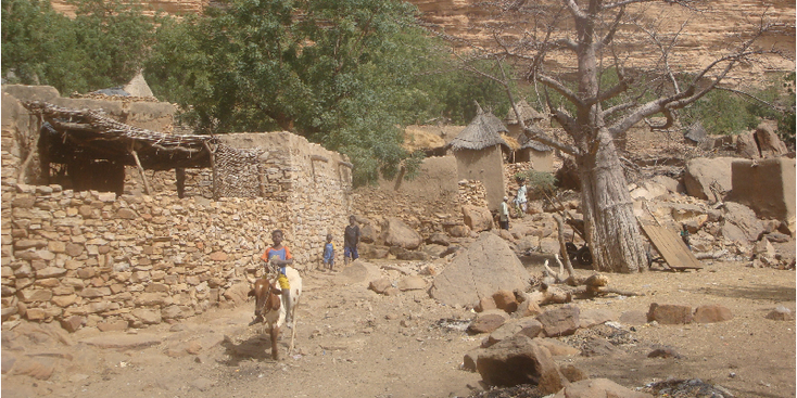 Banani-Dogon-land-Mali-Bandiagara-Tirelli-donkey