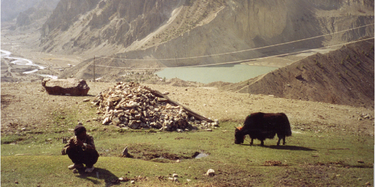 Annapurna-trekking-bergen-Nepal-Himalaya-Yak
