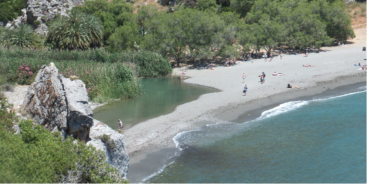 Preveli-Plakias-palmenstrand-Kreta-Griekenland-strand-palmboom