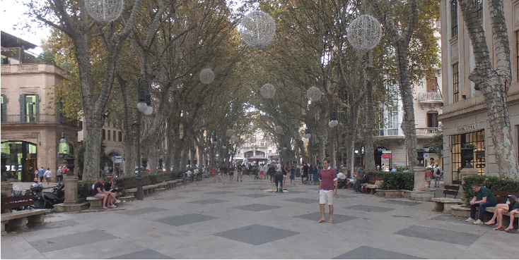 Passeig-des-Born-La-Unio-Palma-de-Mallorca-winkelstraat-shopping-straat-bomen-Spanje