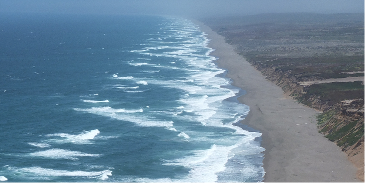 Point-Reyes-strand-zand-kust-Californië-Verenigde-Staten