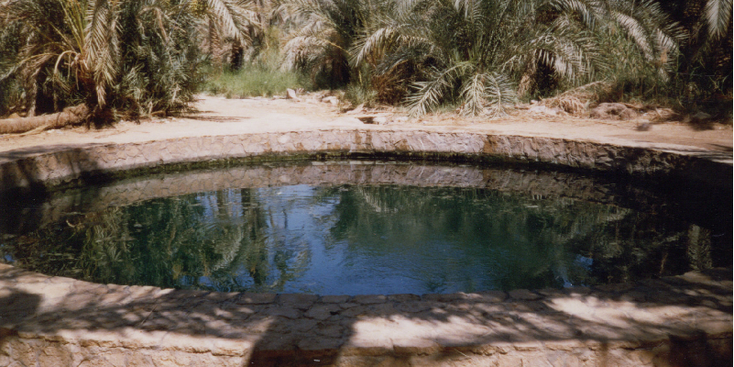 Fatnas-Spring-bron-vijver-zwem-Cleopatra-Siwa-oase-Egypte