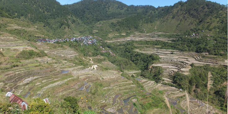 Bontoc-Batad-Banteau-rijstterras-Filipijnen