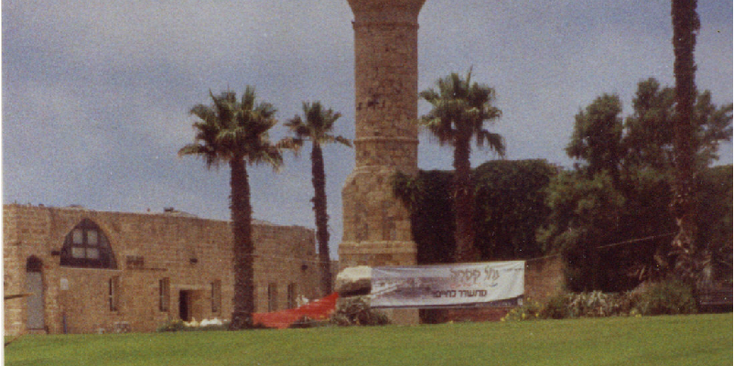 Caesarea-palmboom-Israël