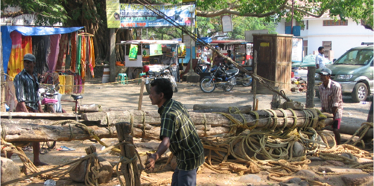 Kochi-Chinese-net-vis-visser-stal-India