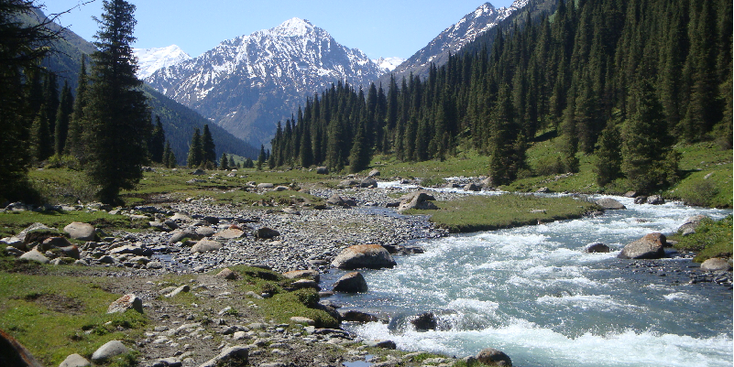 Altyn-Arashan-naaldbos-vallei-rivier-alpenweiden-Kirgizië