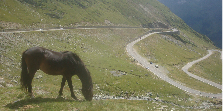 Transfagarasan-Road-route-weg-Ceasescu-Militaire-weg-Roemenië