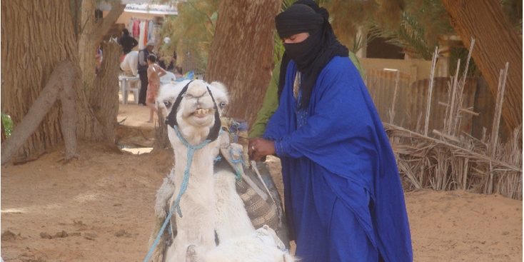 Ksar-Ghilane-kamelen-Sahara-woestijn-oase-Tunesië
