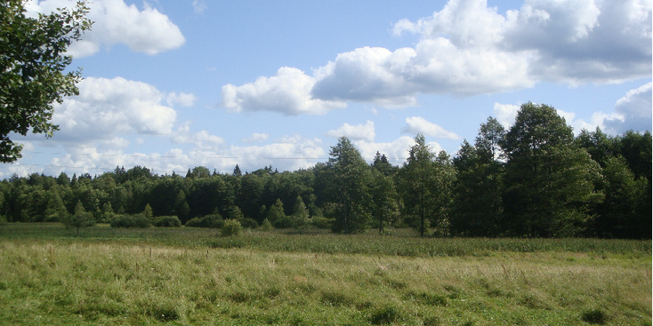 Bialowieza-nationaal-park-wildkamperen-Polen