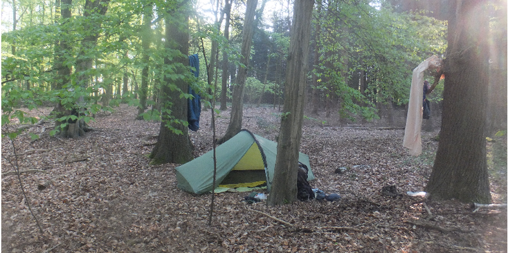Lodden-Munster-wild-kamperen-tent-bos-Duitsland