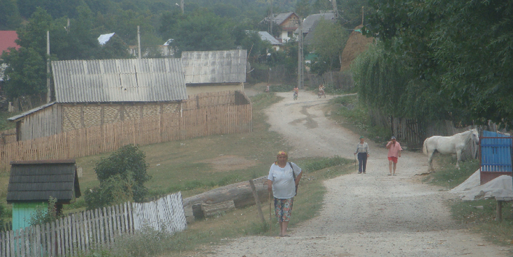 Tigveni-zigeuners-Roma-Sinti-paard-Roemenië