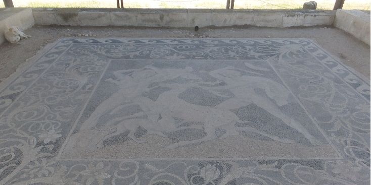 Pella-archeologie-Alexander-de-Grote-Griekenland-geboorteplaats-mozaïek