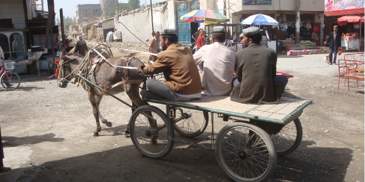 Hotan-China-zijderoute-stad-ezel-en-wagen-Ugur-Uigur-Markt