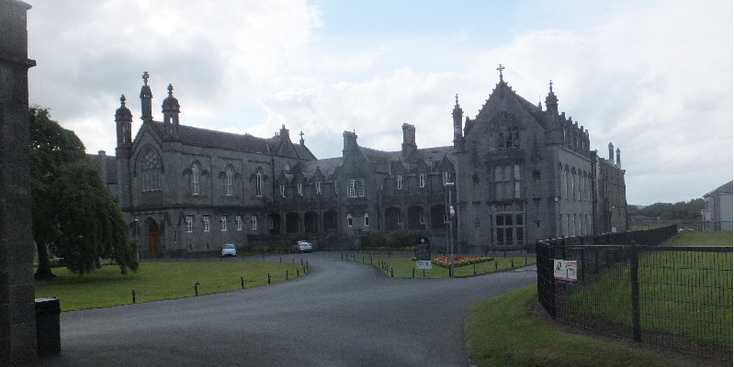 Kilkenny-kasteel-Ierland-bloemen-gras