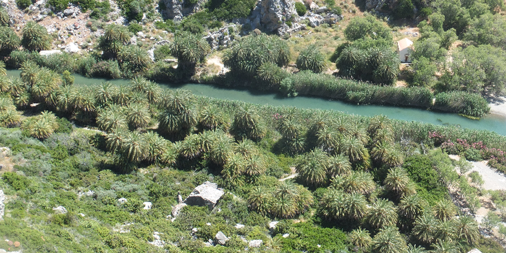 Preveli-Plakias-Palmbeach-Crete-Greece-River