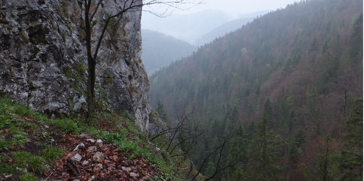 Slovensky-Raj-nationaal-park-Slowakije
