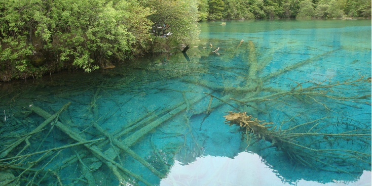 Jiuzhaigou-nationaal-park-water-bomen-mineralen-helder-groeien